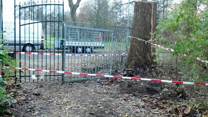 Tijdelijke vervanging door stormschade